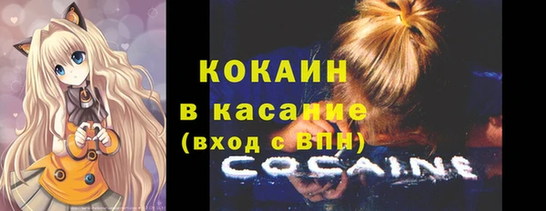 шишки Бронницы