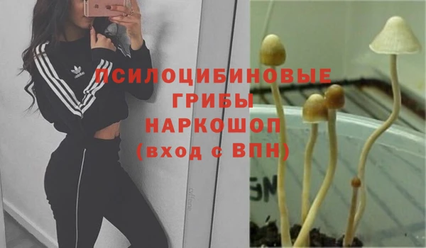 2c-b Богданович