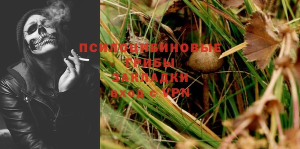 соль курить ск Белокуриха
