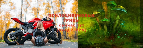 2c-b Богданович