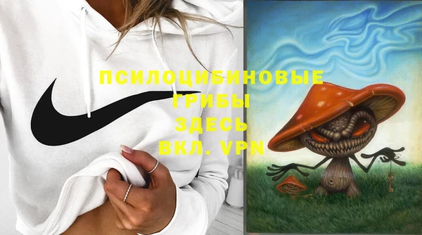 2c-b Богданович