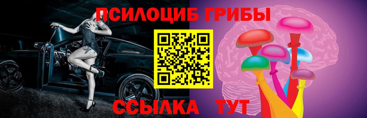 Валуйки  Галлюциногенные грибы прущие грибы  Вход с VPN  где можно купить наркотик  Галлюциногенные грибы Cubensis 